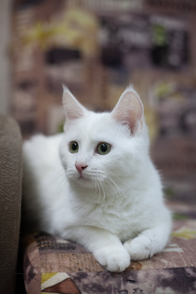 Стелла редко сидит на месте, всегда в движении