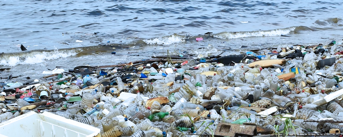 Согласно оценкам, ежегодно в океан попадает около восьми миллионов тонн неконтролируемых пластиковых отходов, и, по неутешительным прогнозам, к 2050 году удельный вес пластика в океане превысит объемы рыбы.