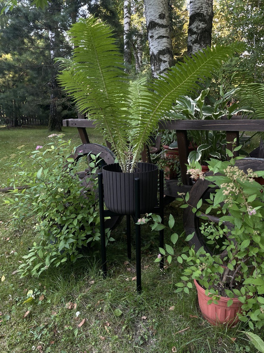 Почему бы не украсить садовую тележку растениями? Оформление может быть простое и изысканное: в утонченном ансамбле объединены папоротник и несколько уличных растений. Большой папоротник раскинул зеленые побеги за комфортной винтажной тележкой. 