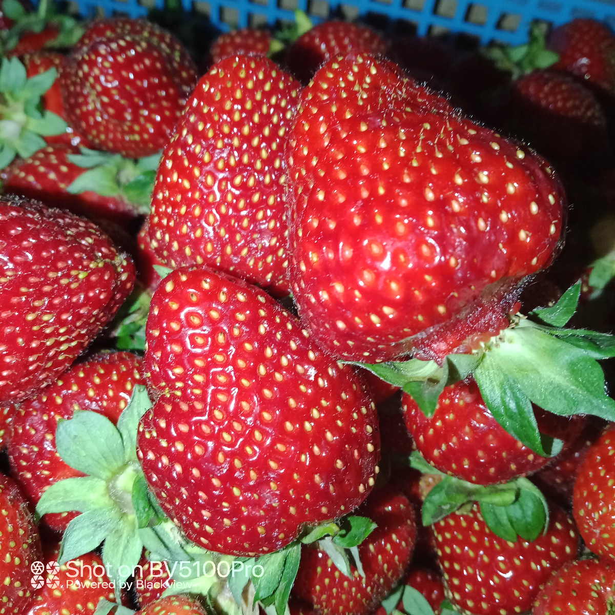 Просто клубничка