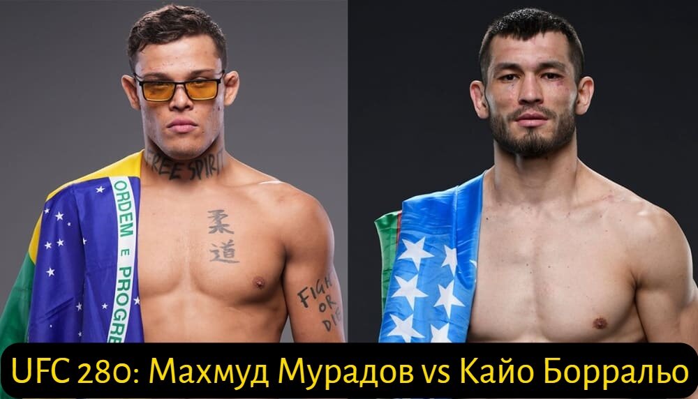 Махмуд Мурадов юфс