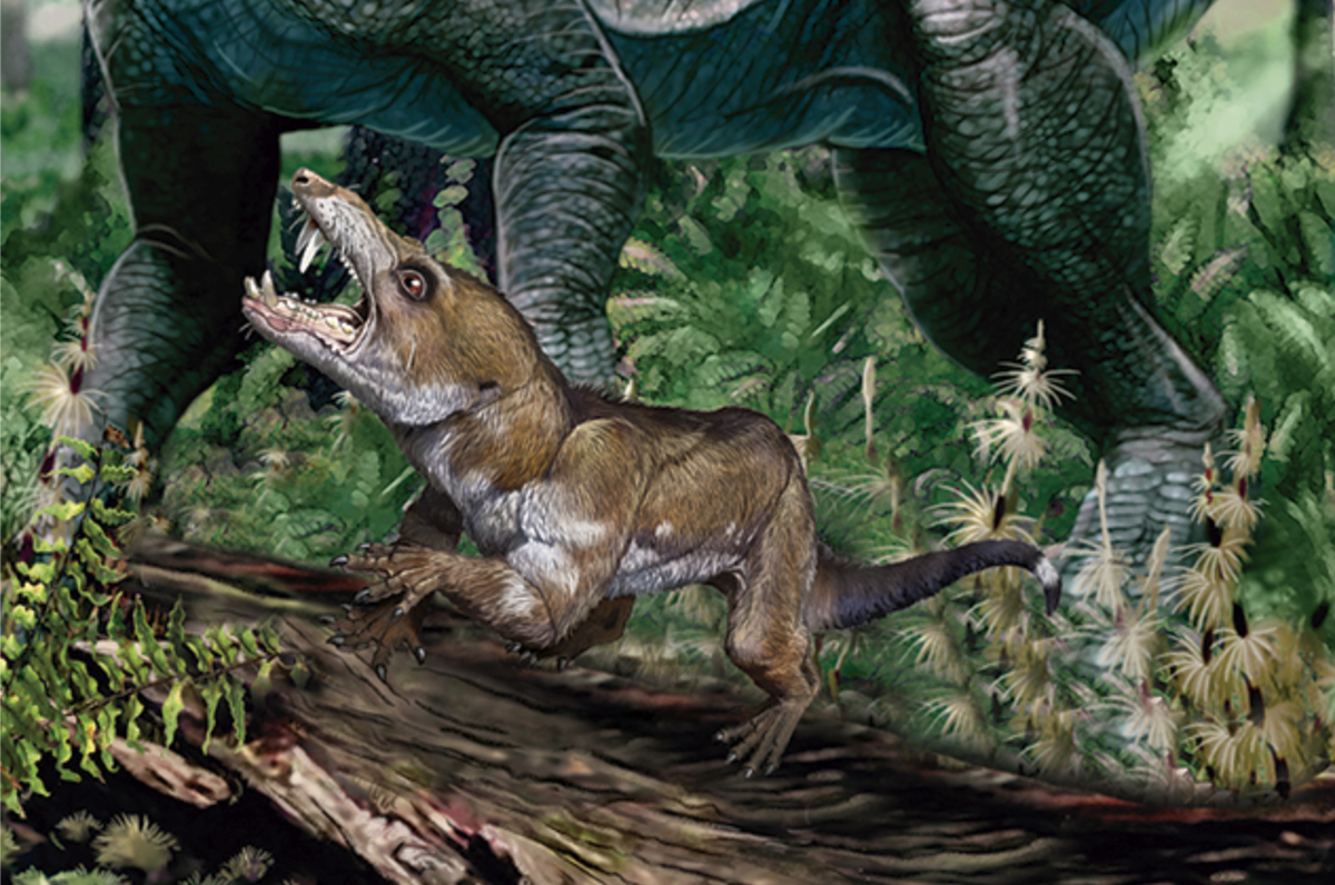 Слышь, чешуйчатый, уступи кинозвезде дорогу!