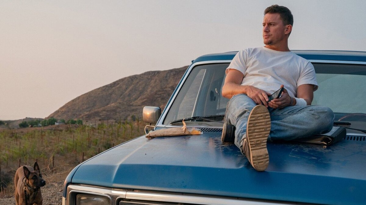 фото из открытого источника