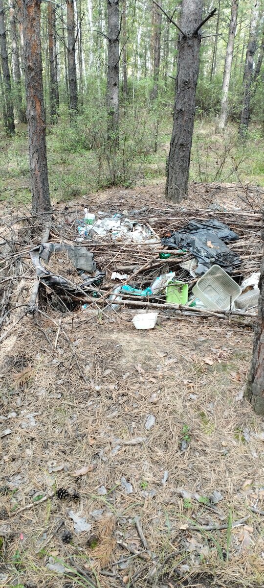 Вот такие свалки, в наших лесах