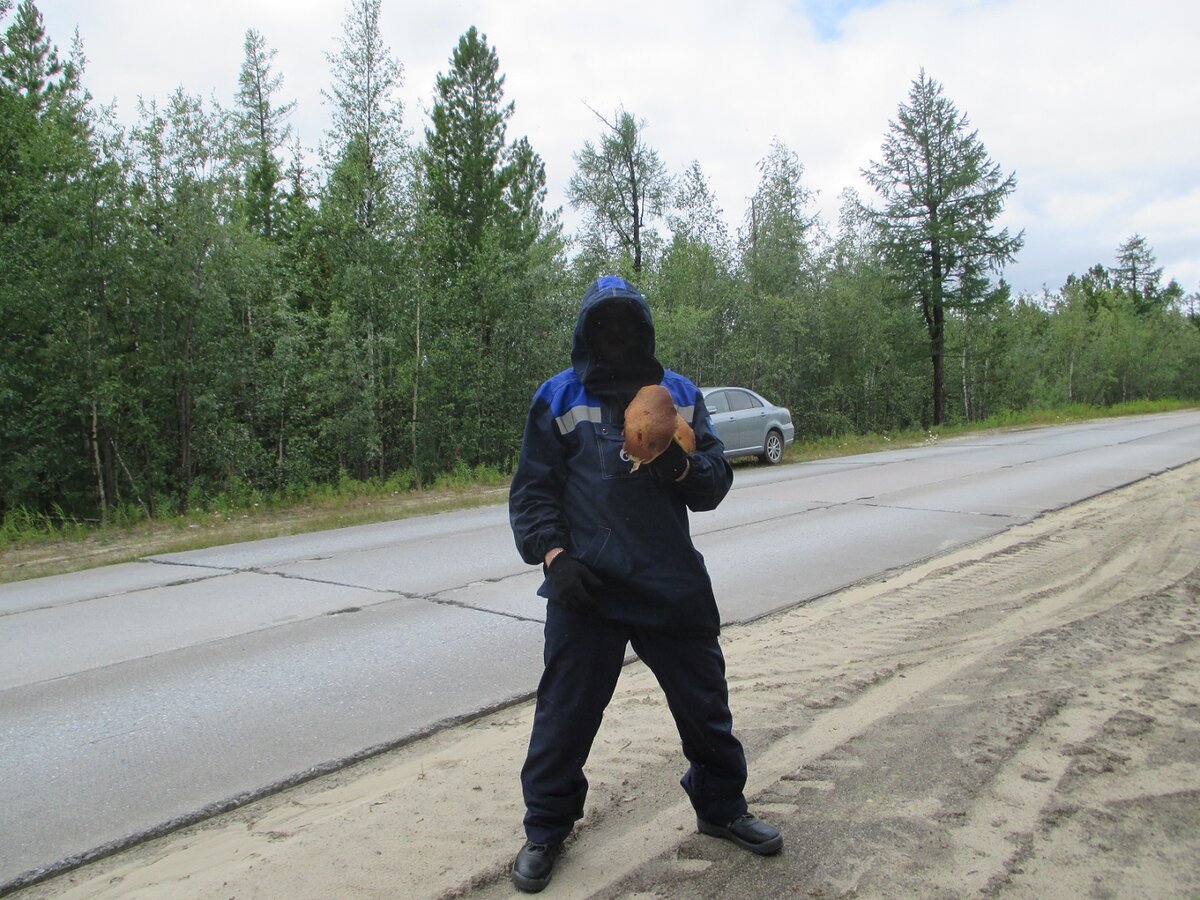 Каждый северянин немножечко грибник, а всякий грибник, кому-нибудь северянин