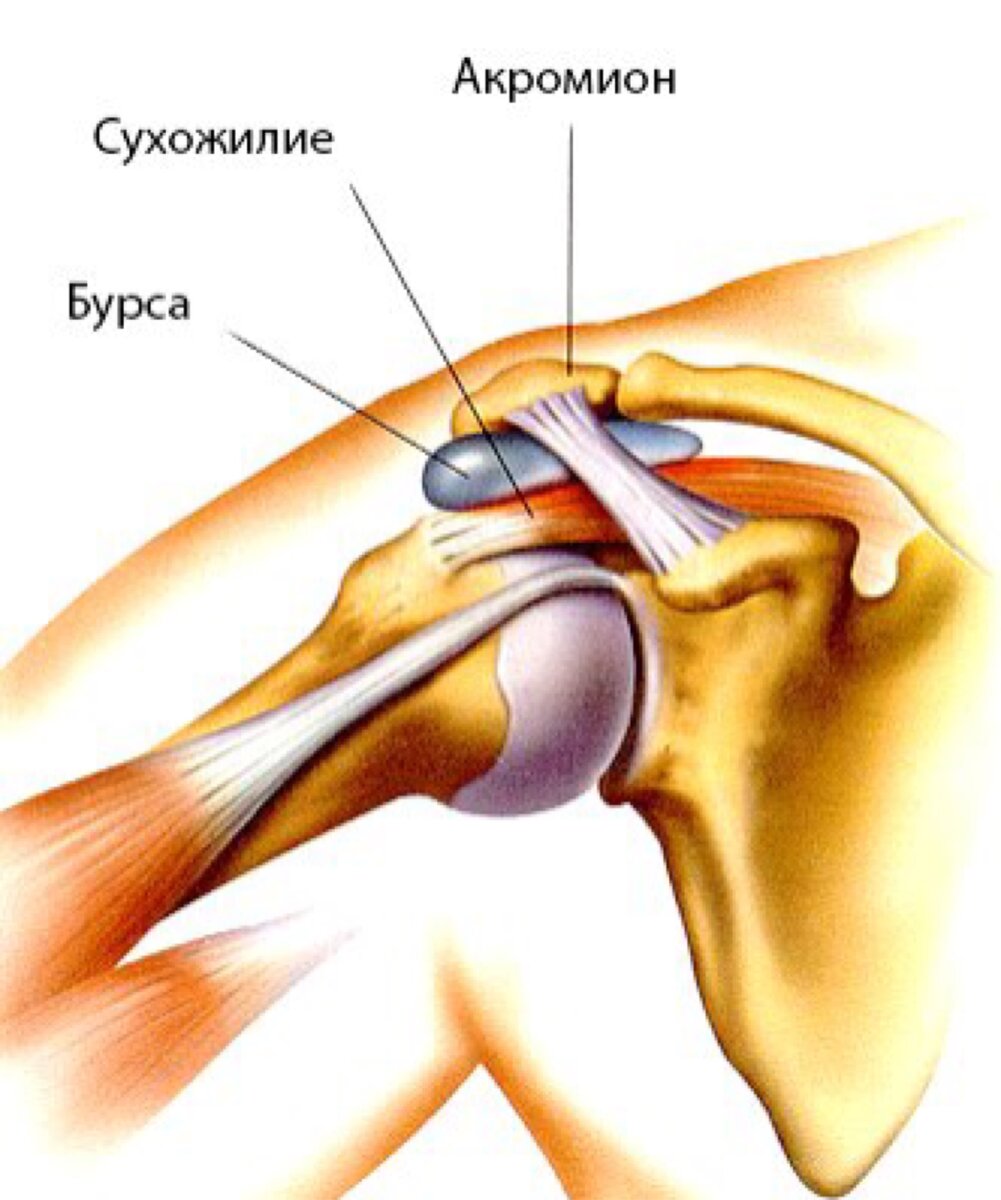 Хрустит плечо