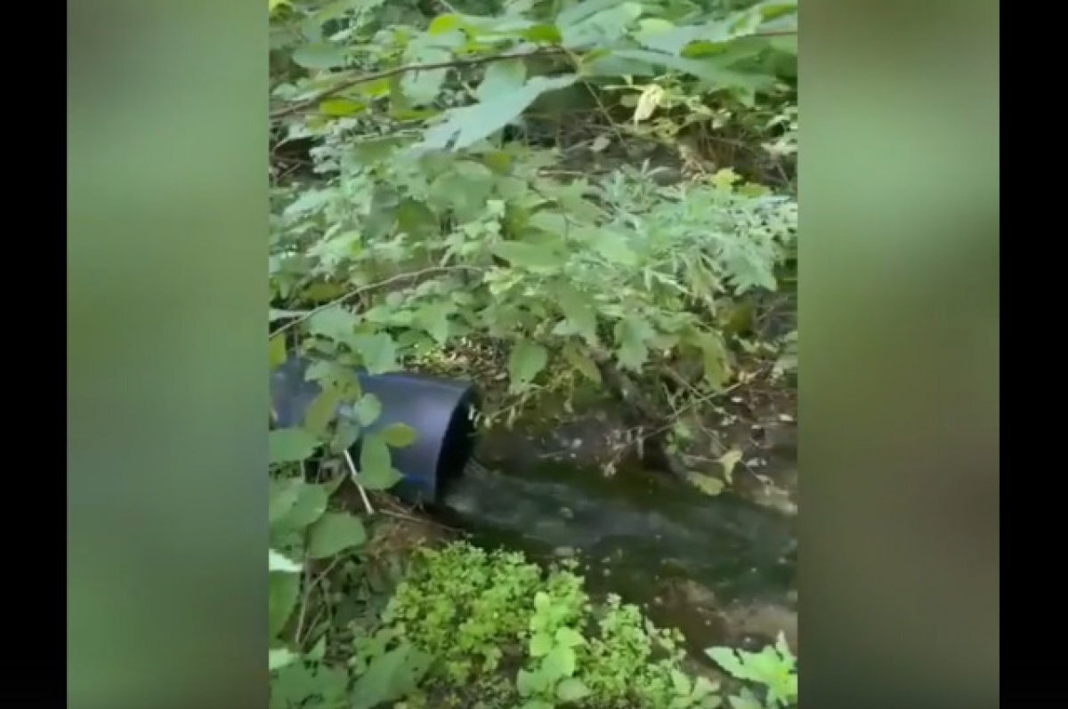    Очистные сооружения продолжают затапливать Воронежскую нагорную дубраву