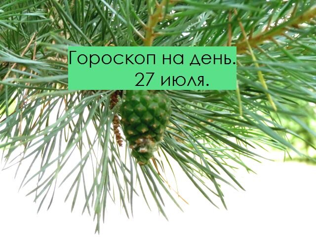 гороскоп дня. 27 июля.