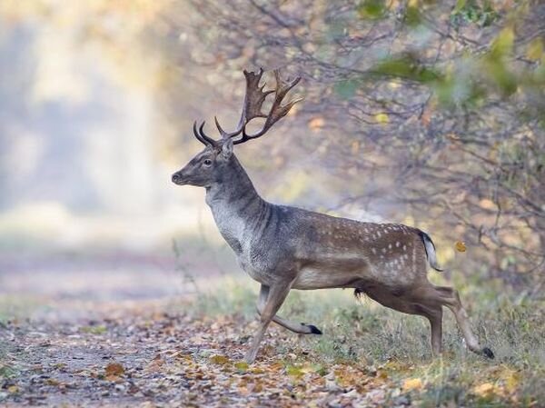 Источник фото: funart.pro