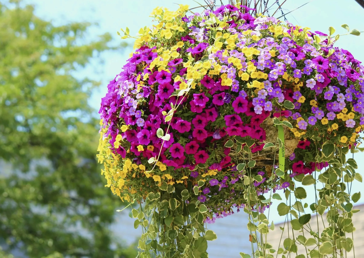 Источник фото: stroy-podskazka.ru