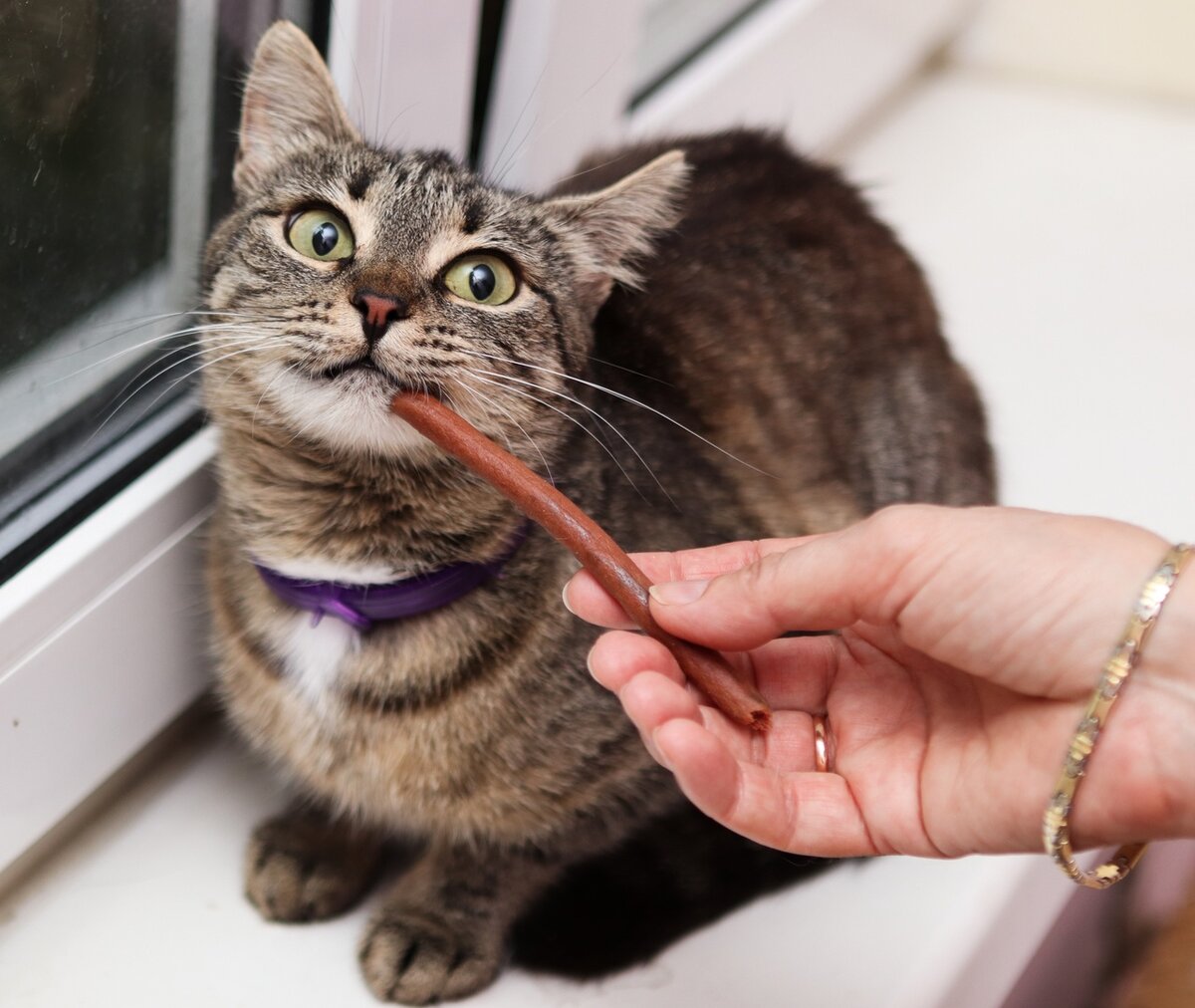 Люблю вкусняшки!