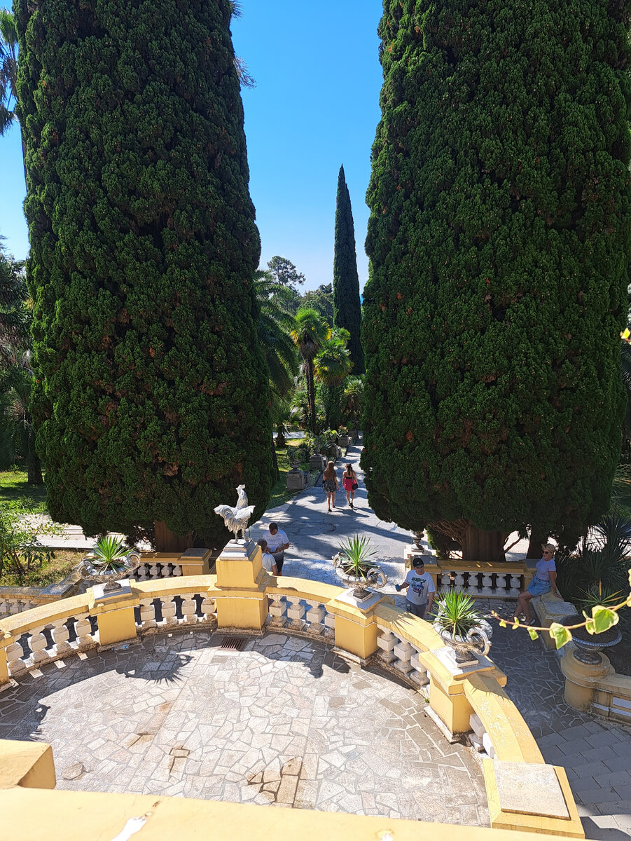 Сочи, день 18. Верхний дендрарий и Мидийное место🦪 | Мама Ксюша и ее ...