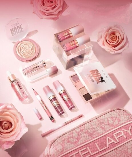 Фото взято с официальной страницы Stellary