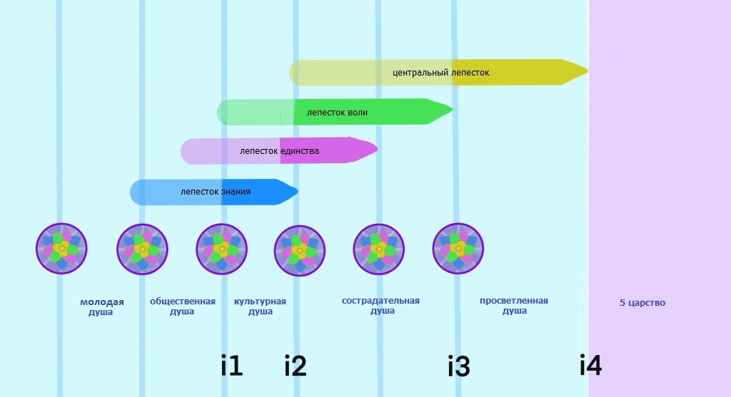 Четвертый фаза. Этапы международной экономической интеграции. 4 фазы жизненного цикла. Зона свободной торговли особенности. Четвертый фаза.