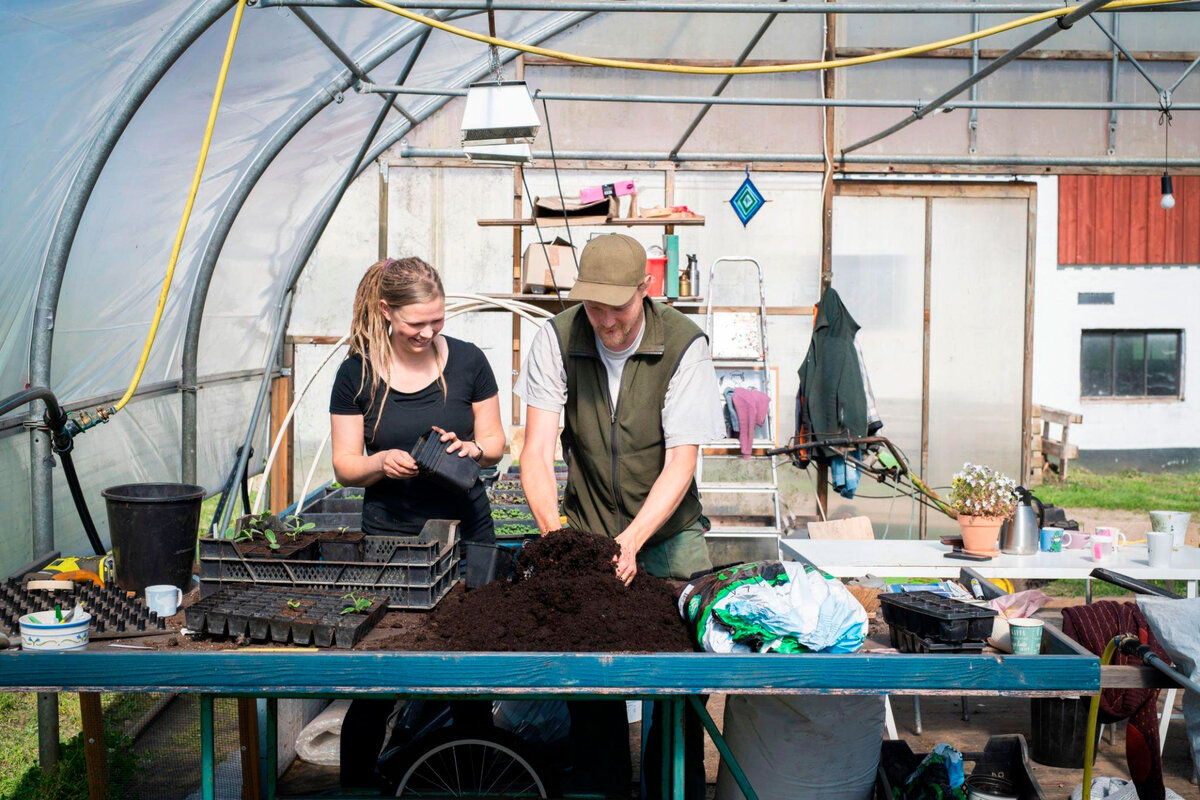 Теплица под плёнку.