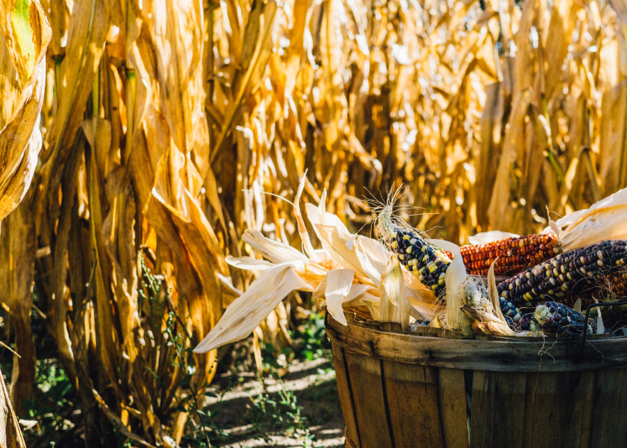 https://unsplash.com/@aaronburden