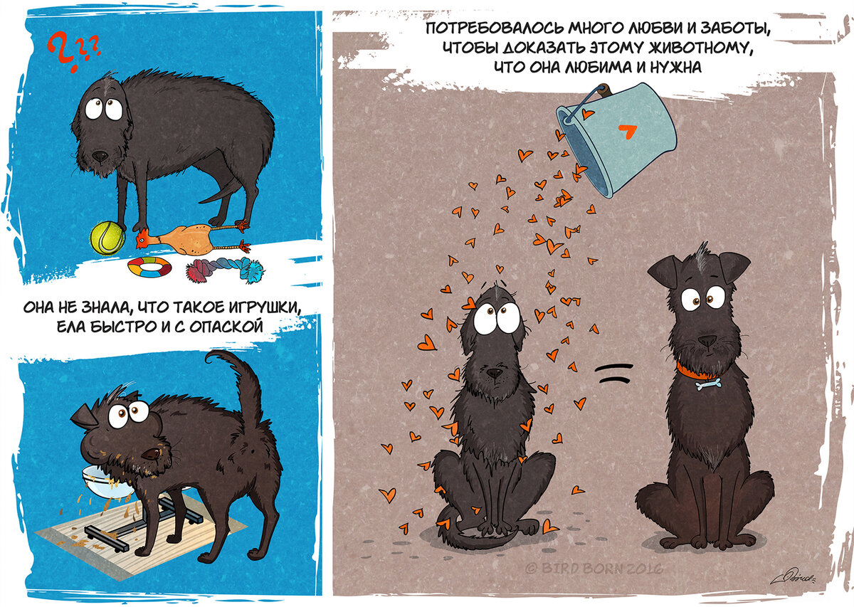 Картинки возьми собаку из приюта