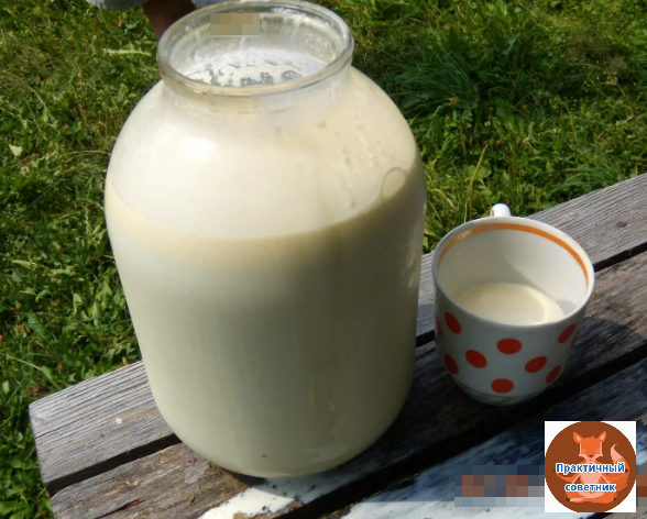 Домашнее молоко