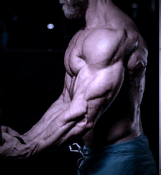 Бодибилдер