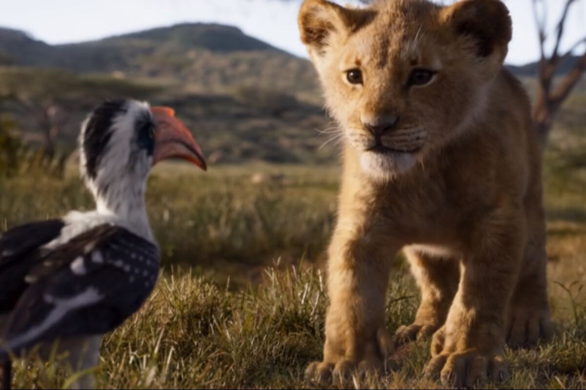 Кадр из фильма "Король лев"