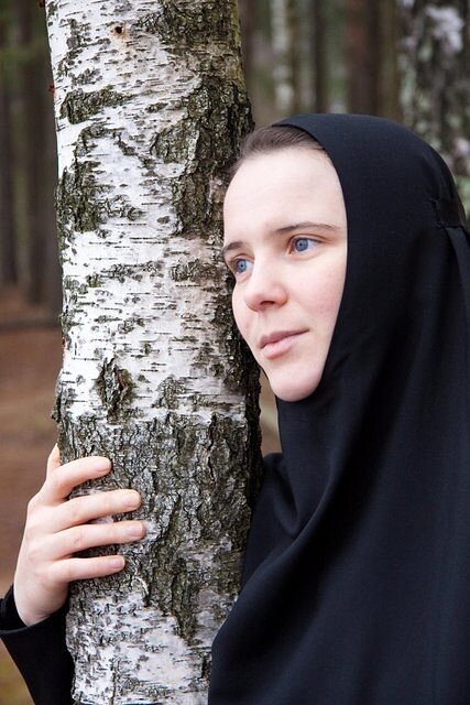 Фото взято из открытого источника