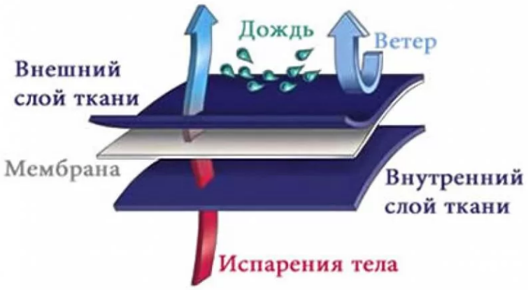 Фото из "Яндекс картинки".