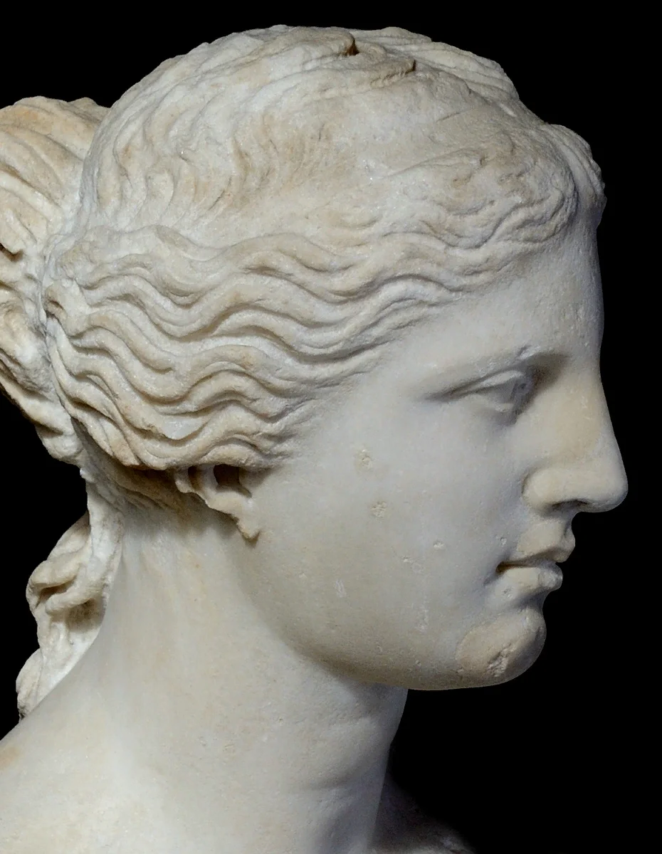 Голова Венеры Милосской. Источник. http://ancientrome.ru/art/artwork/sculp/mythology/gr/aphrodite/aph027.jpg