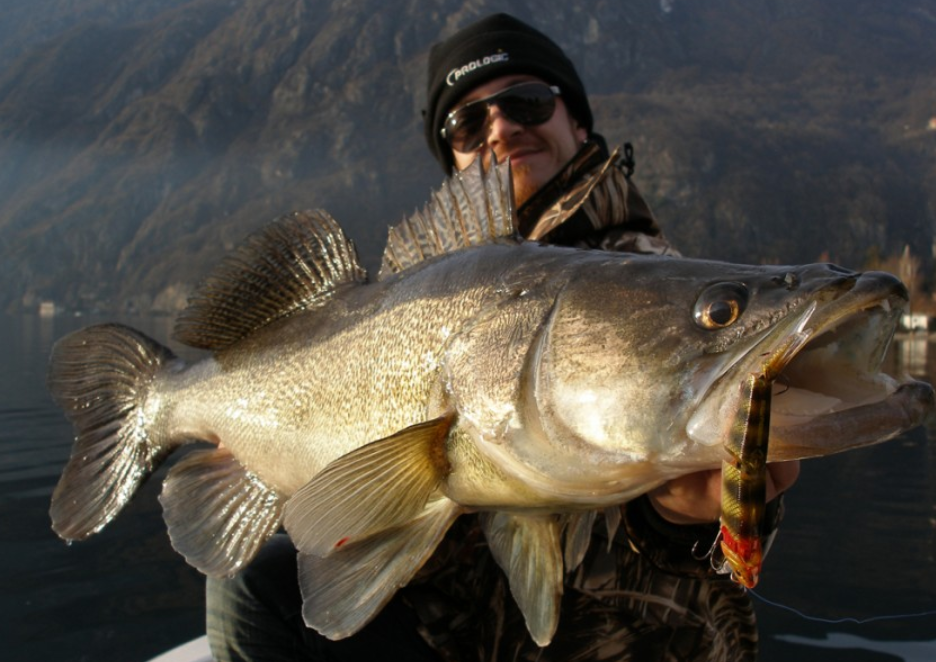 фото из сети Интернет