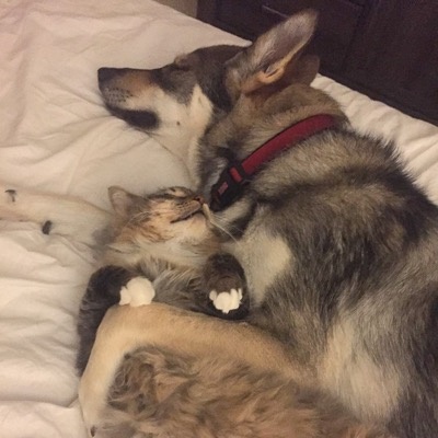 Источник: www.instagram.com/raven_and_woodhouse