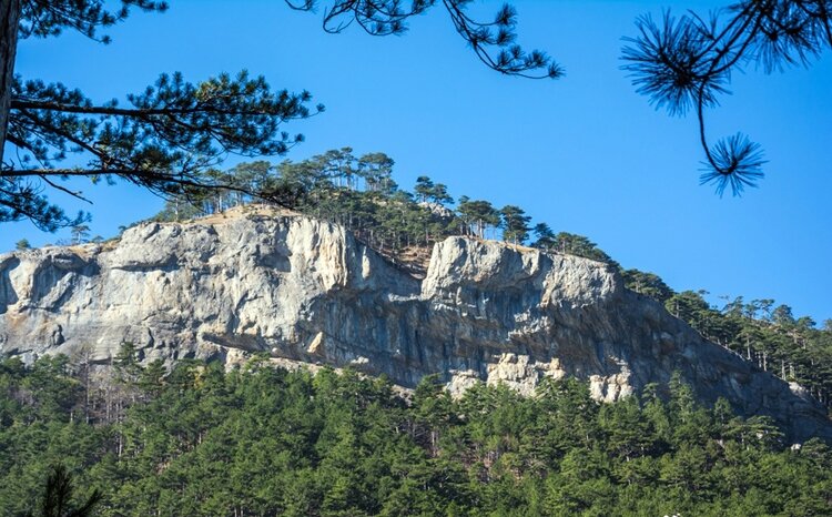 Крымский заповедник уч Кош