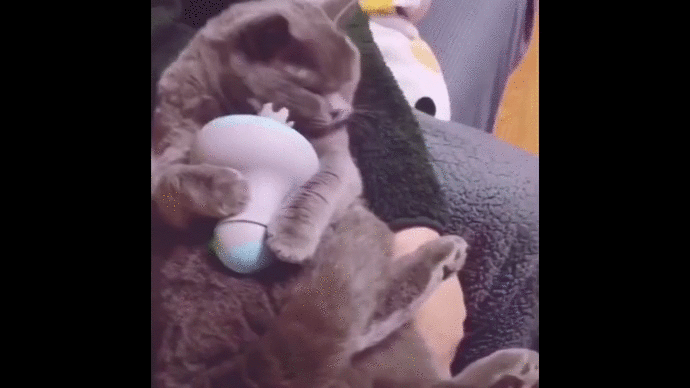 Массажер для кота.