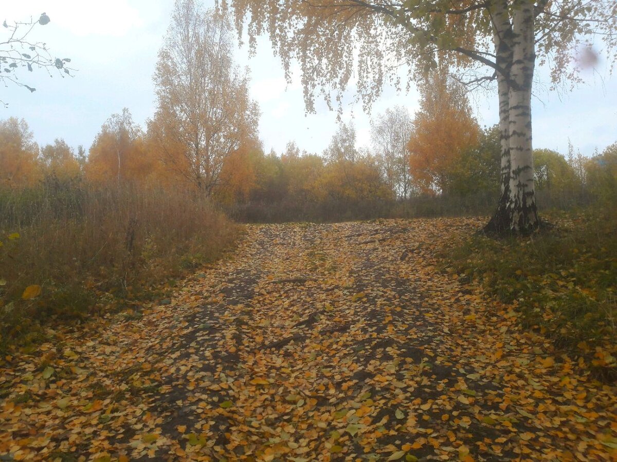 Только осенью может быть так красиво!