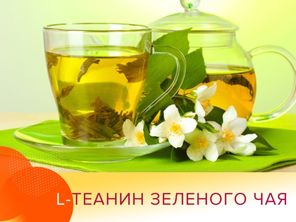 Школа здорового питания Ольги Шестаковой