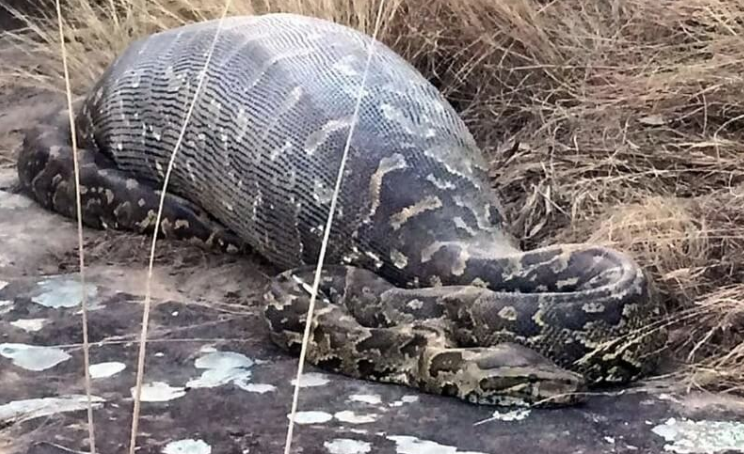 фото kaskus.co.id/thread/5a56da5e582b2e043f8b456d