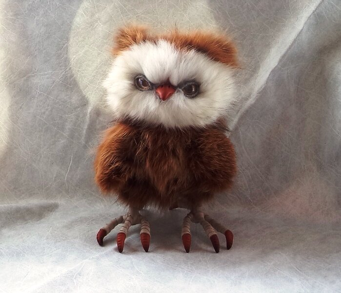 Сова Глафира