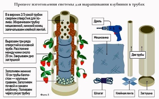 Фото из открытых источников сети Интернет