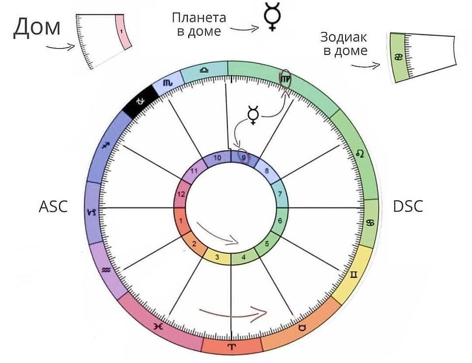Фото из поиска Яндекс. Картинки. Пример того, как 9 дом находится в знаке Девы. В 9 дома находится планета Меркурий