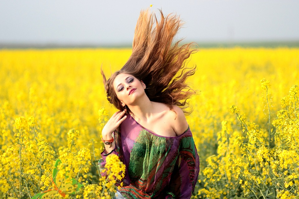 Источник фото pixabay.com