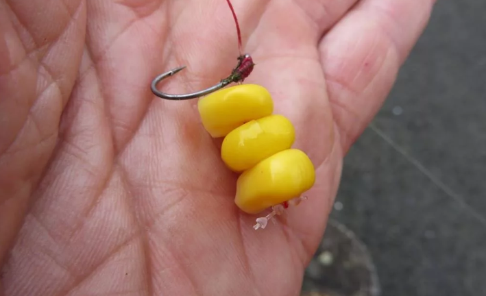 Наживка для белого амура. Фото из интернета.