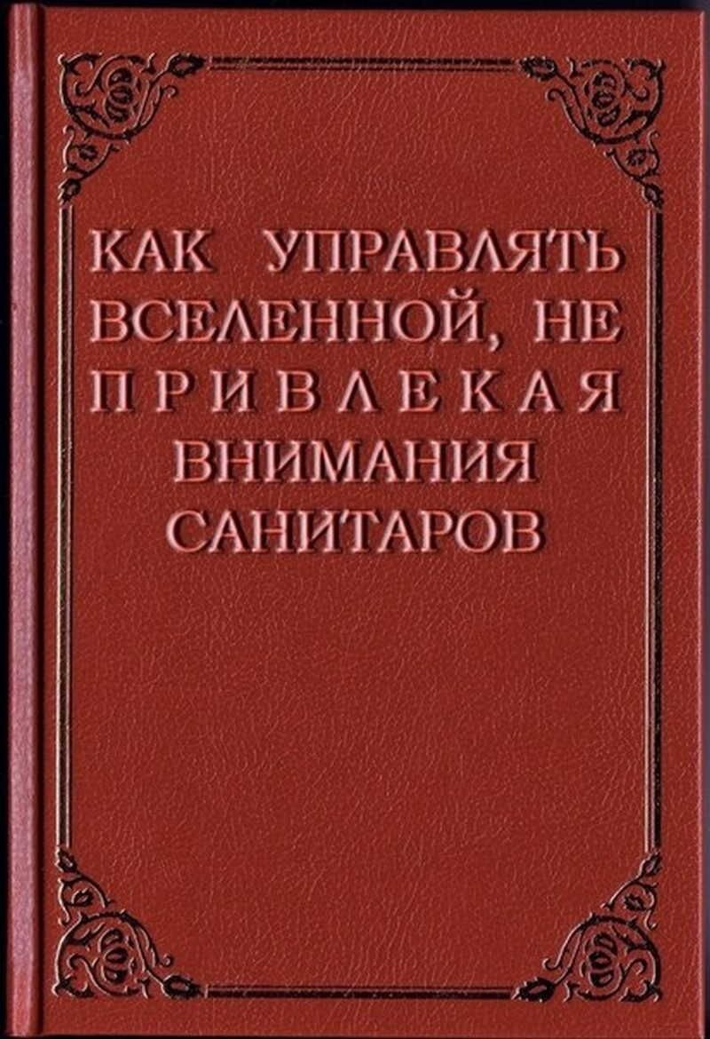 Книга как управлять вселенной не привлекая внимания санитаров фото