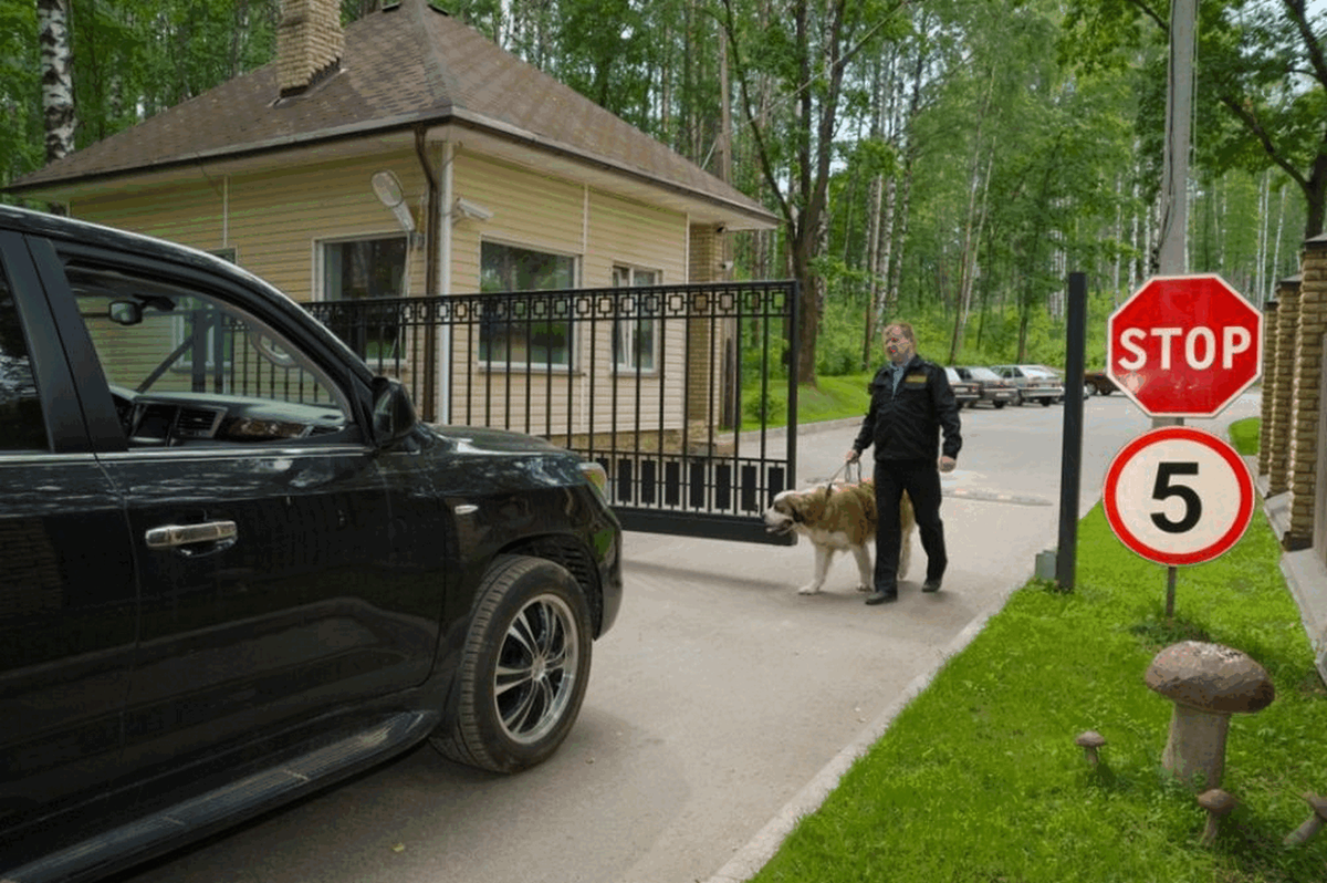 фото из свободных источников Я картинки