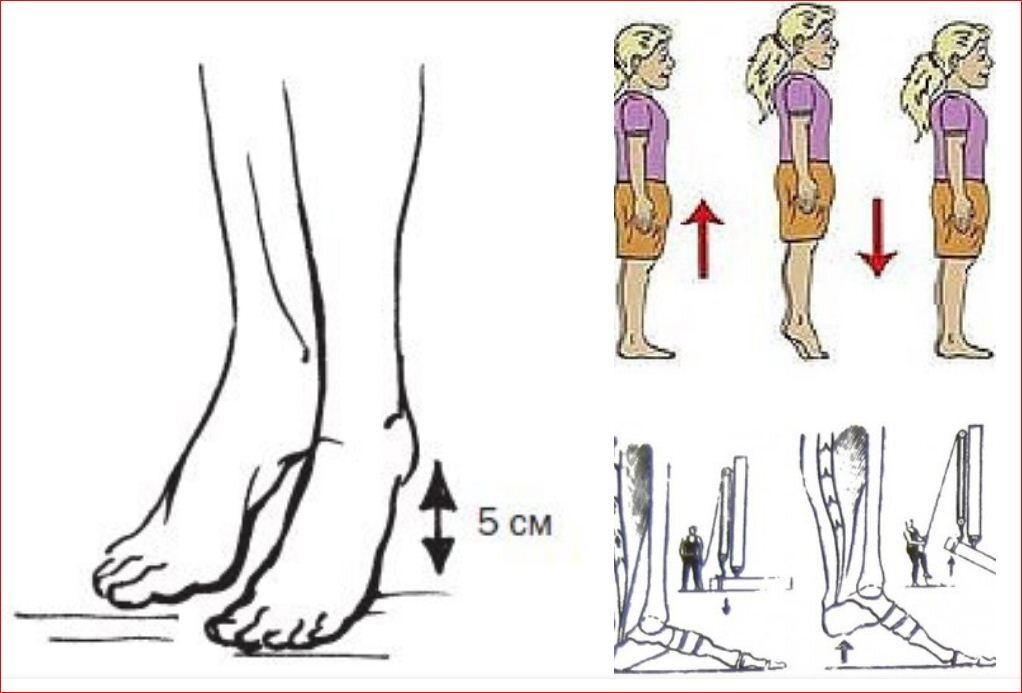Источник Яндекс картинки