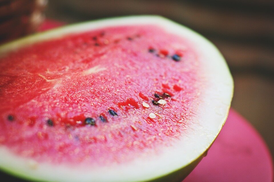 https://pixabay.com/images/id-1846051/