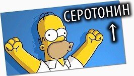 Всем привет! Некоторое время назад был выпуск о том, как повысить чувствительность рецепторов к дофамину, что добавляет мотивации, драйва и амбиций. Сегодня о другом нейромедиаторе, о том, который защищает от депрессий, который держит настроение в норме и вообще – своеобразный фундамент нашей психики – Серотонин.