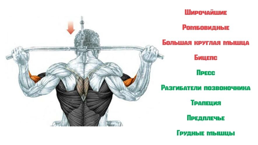 Тяга верхнего блока: техника упражнения, какие мышцы работают - Чемпионат