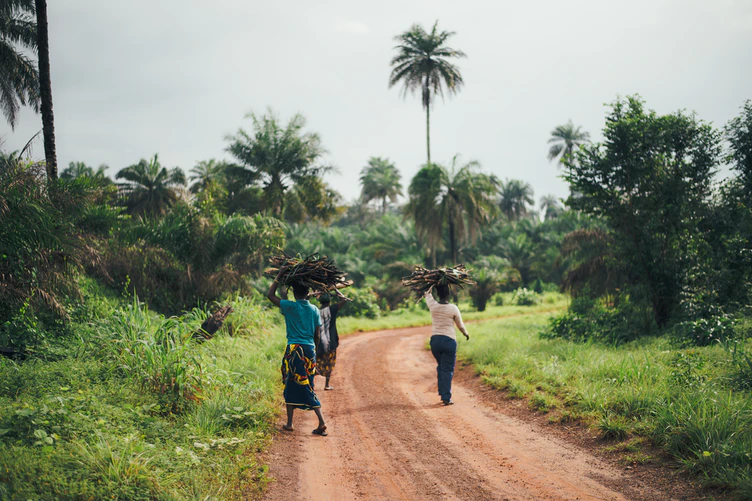 https://unsplash.com/photos/wtk4VH8EU20