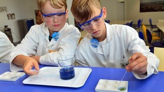 Дети будут сами выращивать еду для себя​ Изображение взято с сайта www.pinterest.it 