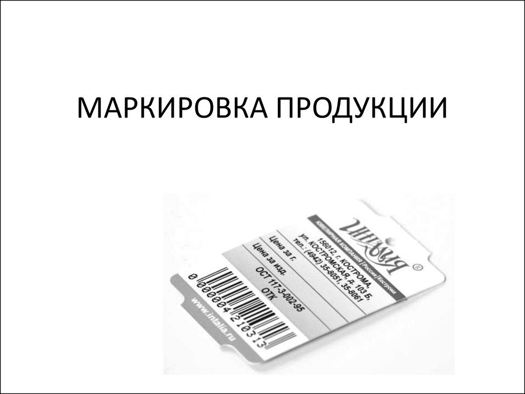 фото из интернета