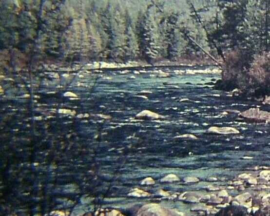 Каменистое русло. Фото из личного архива