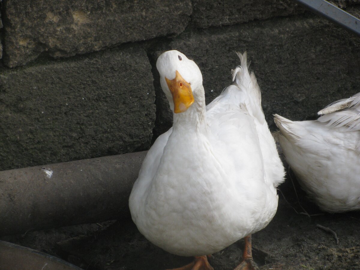 Все фото автора